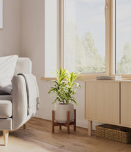 Load image into Gallery viewer, Eternal Gray stand:walnut