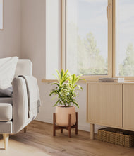 Load image into Gallery viewer, Gentle Pink stand:walnut