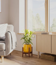 Load image into Gallery viewer, Mustard stand:walnut