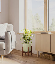 Load image into Gallery viewer, Turquoise stand:walnut