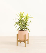 Load image into Gallery viewer, Gentle Pink stand:bamboo