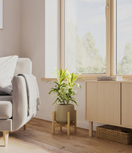 Load image into Gallery viewer, Olive stand:bamboo