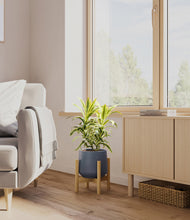 Load image into Gallery viewer, Deep Navy stand:bamboo