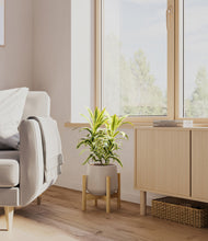 Load image into Gallery viewer, Eternal Gray stand:bamboo