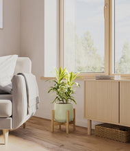 Load image into Gallery viewer, Turquoise stand:bamboo