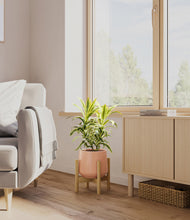 Load image into Gallery viewer, Calm Rose stand:bamboo