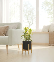 Load image into Gallery viewer, Black stand:bamboo