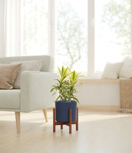 Load image into Gallery viewer, Deep Navy stand:walnut