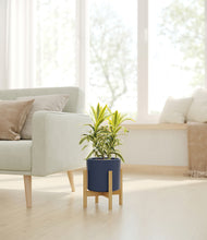 Load image into Gallery viewer, Deep Navy stand:bamboo