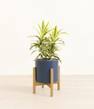 Load image into Gallery viewer, Deep Navy stand:bamboo