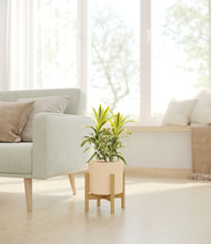 Load image into Gallery viewer, Cream stand:bamboo