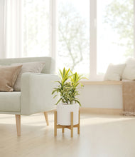 Load image into Gallery viewer, White stand:bamboo