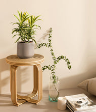 Load image into Gallery viewer, Eternal Gray