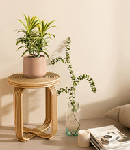 Load image into Gallery viewer, Gentle Pink