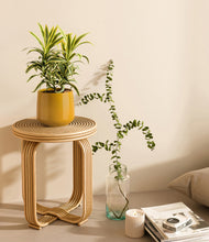 Load image into Gallery viewer, Mustard