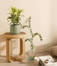 Load image into Gallery viewer, Turquoise