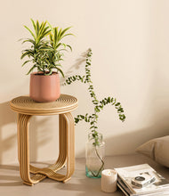 Load image into Gallery viewer, Calm Rose