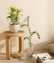 Load image into Gallery viewer, Shiny EggWhite