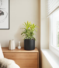 Load image into Gallery viewer, Black