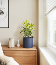 Load image into Gallery viewer, Deep Navy