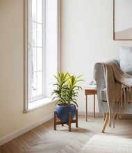 Load image into Gallery viewer, Deep Navy stand:walnut