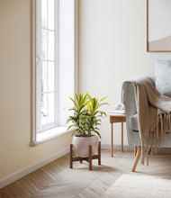 Load image into Gallery viewer, Desert Brown stand:walnut