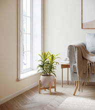 Load image into Gallery viewer, Desert Brown stand:bamboo