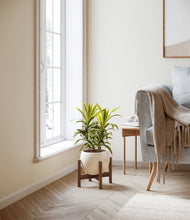 Load image into Gallery viewer, Shiny EggWhite stand:walnut