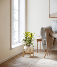 Load image into Gallery viewer, Shiny EggWhite stand:bamboo