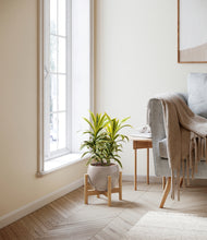 Load image into Gallery viewer, Winter Clouds stand:bamboo