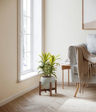 Load image into Gallery viewer, Deep Ocean stand:walnut