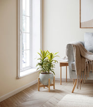 Load image into Gallery viewer, Deep Ocean stand:bamboo