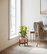 Load image into Gallery viewer, Calm Rose stand:walnut