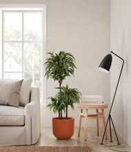 Load image into Gallery viewer, Earth Red