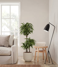 Load image into Gallery viewer, Natural Bamboo