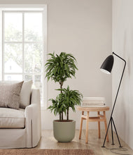 Load image into Gallery viewer, Sage Green