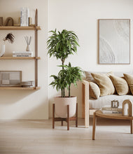 Load image into Gallery viewer, Sandy Pink stand:walnut