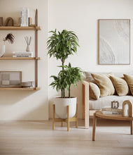 Load image into Gallery viewer, Natural Bamboo stand:bamboo