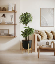 Load image into Gallery viewer, Stone Black stand:bamboo