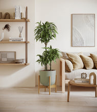 Load image into Gallery viewer, Sage Green stand:bamboo