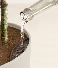 Load image into Gallery viewer, Natural Bamboo stand:all