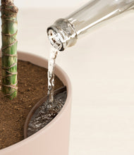 Load image into Gallery viewer, Sandy Pink stand:all