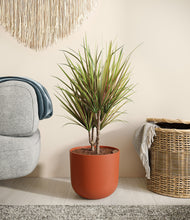 Load image into Gallery viewer, Earth Red