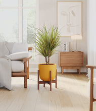 Load image into Gallery viewer, Sunset Orange stand:walnut