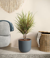 Load image into Gallery viewer, Iron Gray