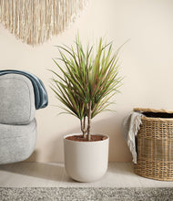 Load image into Gallery viewer, Natural Bamboo