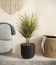 Load image into Gallery viewer, Stone Black