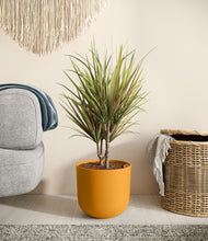 Load image into Gallery viewer, Sunset Orange