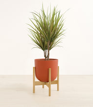 Load image into Gallery viewer, Earth Red stand:bamboo