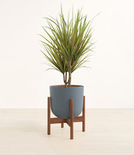 Load image into Gallery viewer, Iron Gray stand:walnut